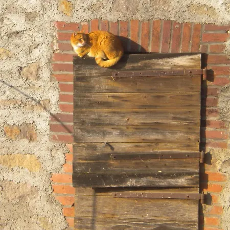 Knoll مزرعة للإقامة *