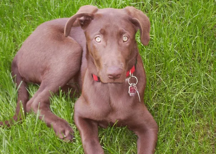 مزرعة للإقامة Knoll