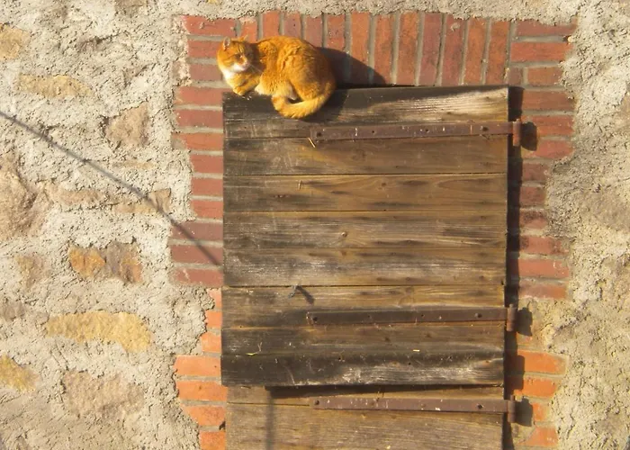 Knoll مزرعة للإقامة *